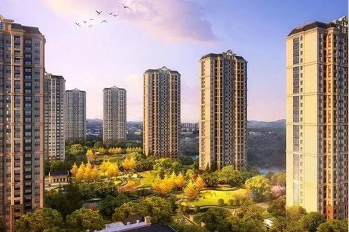 搖號(hào)購(gòu)房人數(shù)從14萬(wàn)降到3.5萬(wàn) 蕭山人,你還會(huì)繼續(xù)嗎