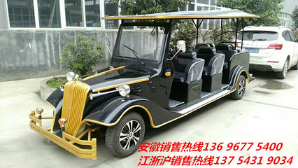 供應(yīng)九江電動游覽車,撫州電瓶看樓車豪華接待車,電動看房車