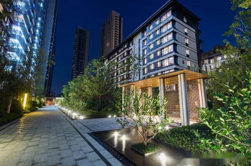 杭州最新8大精品樓盤 龍湖 萬科 中海 東原 陽光城 德信...