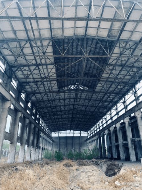 新盤首曝 禮仁莊園