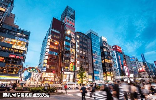 最新關(guān)注 樓盤信息 房價(jià) 戶型 周邊配套,交通地圖及動(dòng)態(tài)