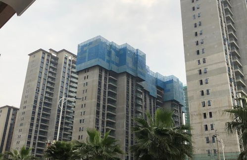 樓市調控保持定力，產品質量成房企競爭核心